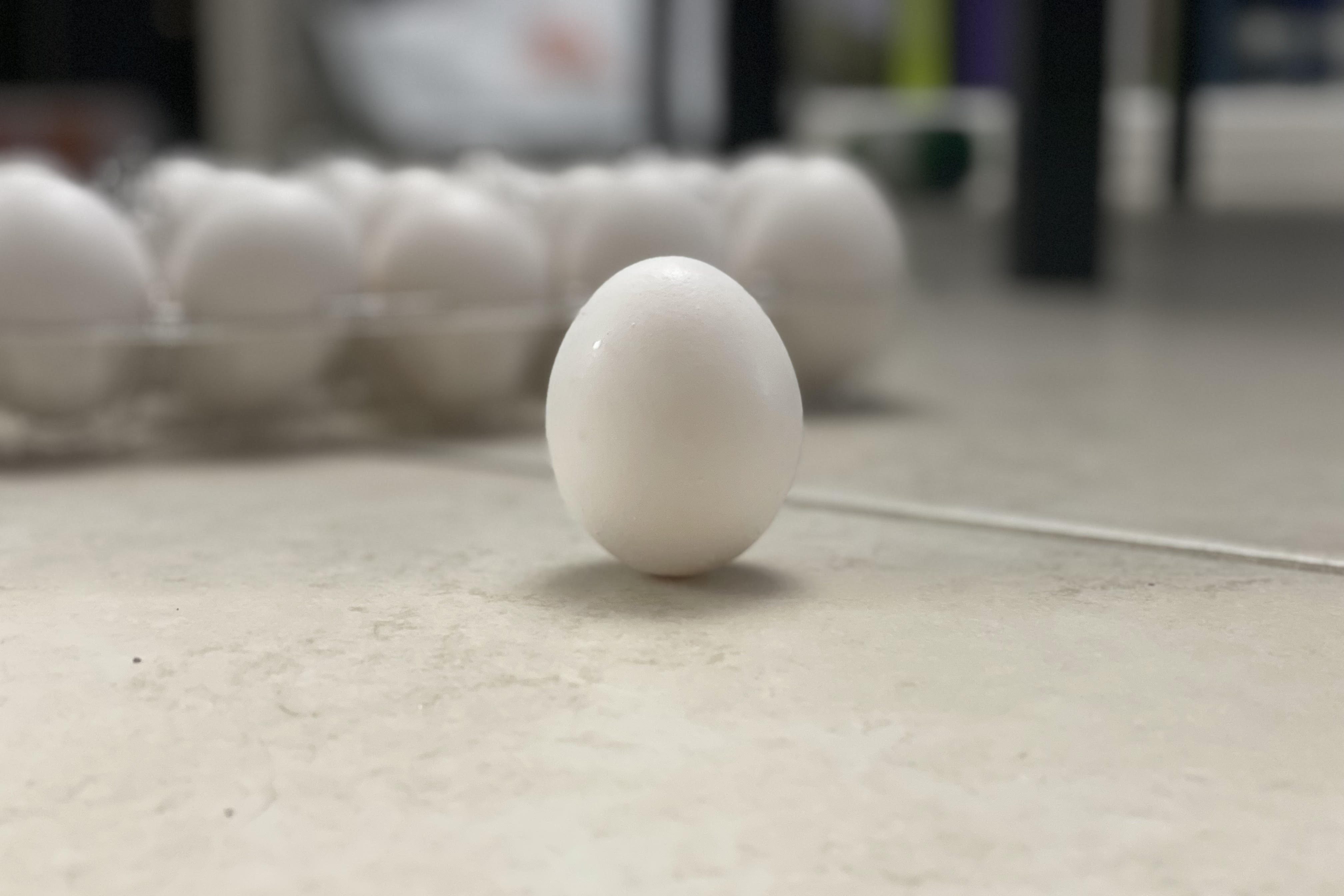 Egg balancing on Equinox