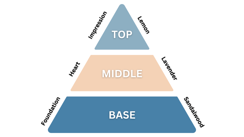 The fragrance pyramid