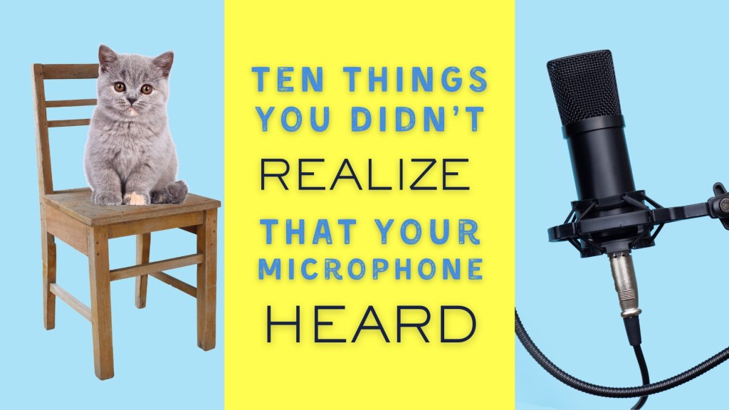 Avoid These Common Voice Recording Mistakes: Things You Didn’t Realize Your Microphone&nbsp;Heard